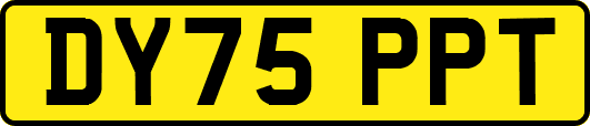 DY75PPT