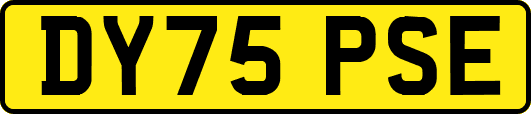 DY75PSE
