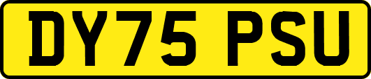 DY75PSU