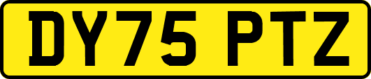 DY75PTZ