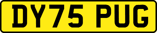 DY75PUG