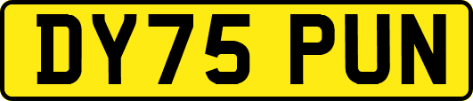 DY75PUN