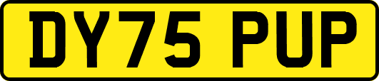 DY75PUP