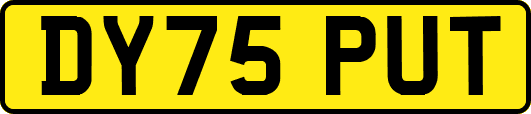 DY75PUT