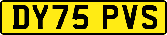 DY75PVS