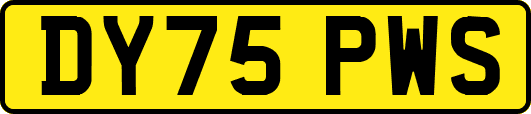 DY75PWS