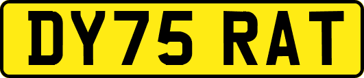 DY75RAT