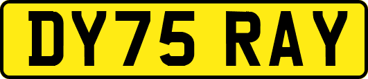 DY75RAY