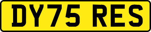 DY75RES
