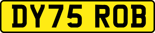 DY75ROB