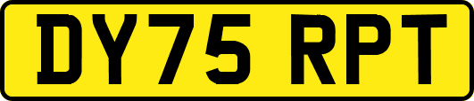 DY75RPT