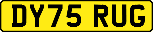 DY75RUG