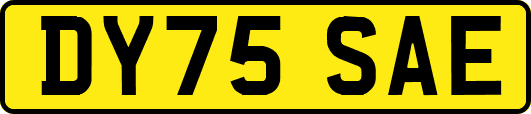 DY75SAE