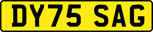 DY75SAG