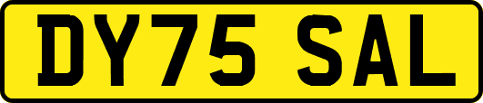 DY75SAL