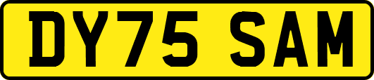 DY75SAM