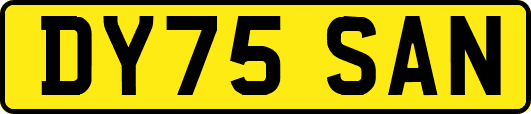 DY75SAN