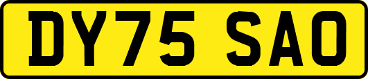 DY75SAO
