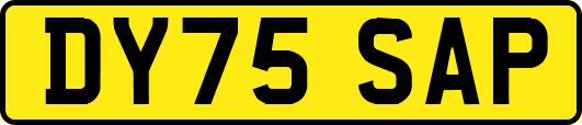 DY75SAP
