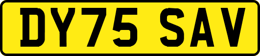 DY75SAV