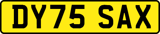 DY75SAX