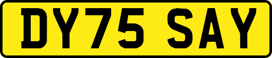 DY75SAY