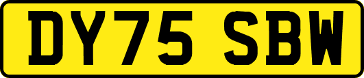 DY75SBW