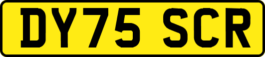 DY75SCR