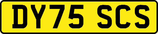 DY75SCS