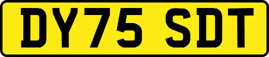 DY75SDT