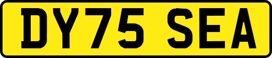 DY75SEA