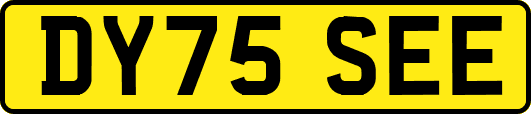 DY75SEE
