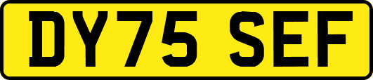 DY75SEF