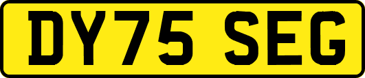 DY75SEG