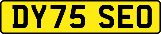 DY75SEO