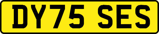 DY75SES