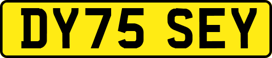 DY75SEY