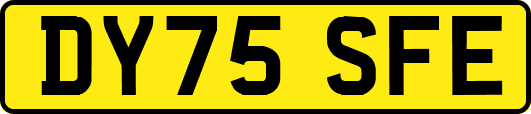 DY75SFE