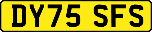 DY75SFS