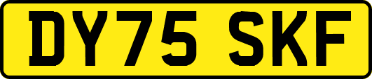 DY75SKF