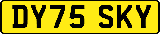DY75SKY