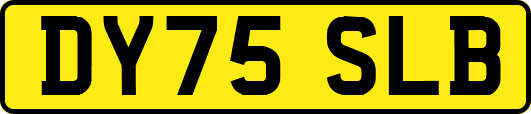 DY75SLB
