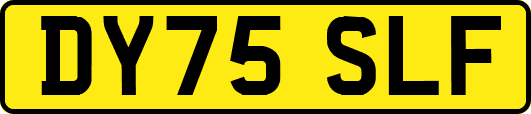 DY75SLF