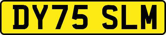 DY75SLM