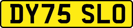 DY75SLO