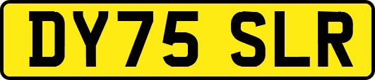 DY75SLR