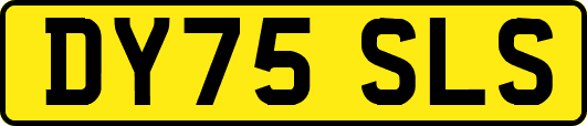 DY75SLS