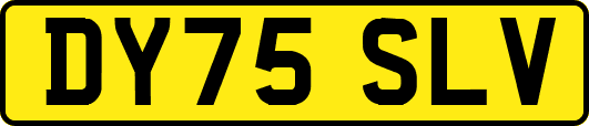 DY75SLV