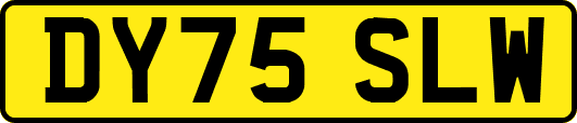 DY75SLW