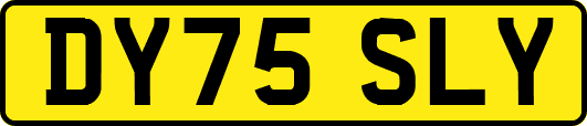 DY75SLY
